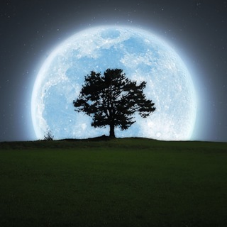 Telegram profile photo for گروه گپ و گفتگوی برنامه نویس ها