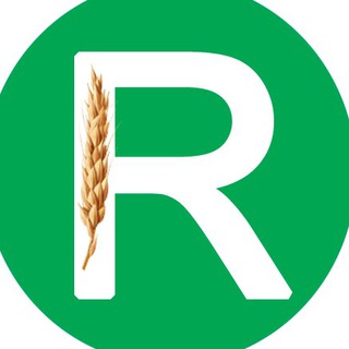Telegram group profile photo for Rake Bit Finance