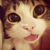 Telegram profile photo for Ponyo.