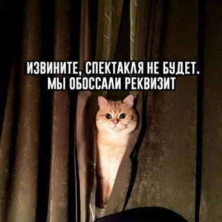 Telegram profile photo for Больной театр | Кир Баглай