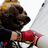 Telegram profile photo for Furry Photos by Photo Dragon