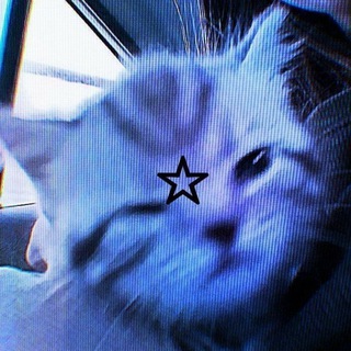 Telegram profile photo for 💤ᴋᴀнᴀᴧьчиᴋ ᴄ ᴋᴏнᴋуᴩᴄᴀʍи ᴏᴛ Niᴄᴋ4ᴋᴀr💤