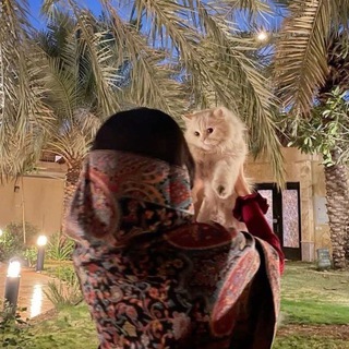 Telegram profile photo for مـُــتـَـرَدد