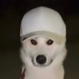 Telegram profile photo for КриптоКинология