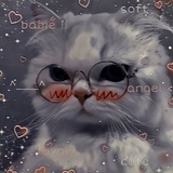Telegram profile photo for Кринжочек🪄🌈