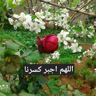 Telegram profile photo for اللهم اجبر كسرنا