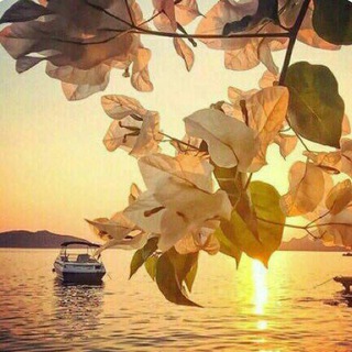 Telegram profile photo for ابتسَــامة أَمـَل..