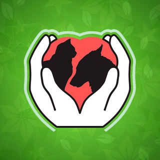 Telegram profile photo for Приют "Добрые руки" Брянск