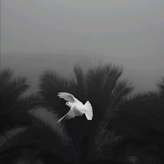 Telegram profile photo for ليطمٓئن قٓلبي"