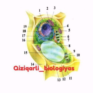 Telegram profile photo for Qiziqarli_biologiyas🌎