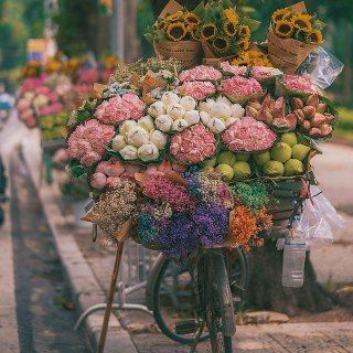 Telegram profile photo for زيادة دعم إيليـنا✨.