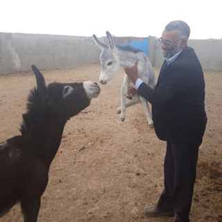 Telegram profile photo for مرکز پرورش الاغ سم طلایی گناباد