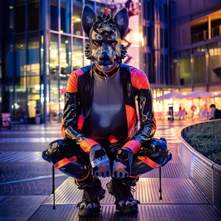 Telegram profile photo for The Shiny Jumble