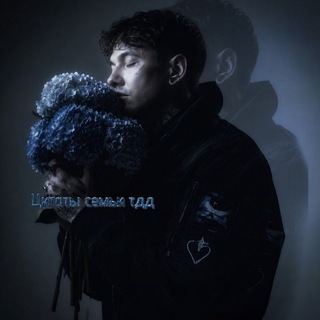 Telegram profile photo for Цитаты семьи тдд