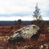Telegram profile photo for Карельские пословицы
