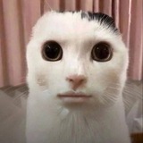 Telegram profile photo for Мыкола печатает...