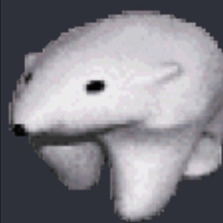 Telegram profile photo for frank