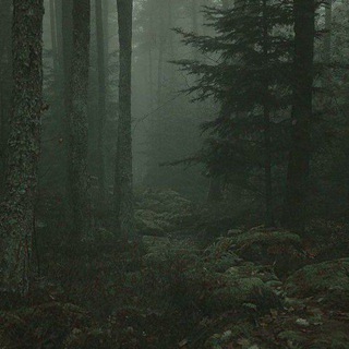 Telegram profile photo for Гиперфиксы Фины.