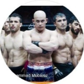 Telegram profile photo for ▶کیک بوکسینگ,موی تای,قهرمانان مهاباد◀