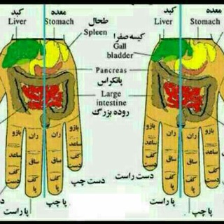 Telegram profile photo for سوجوک تراپی و طب سنتی