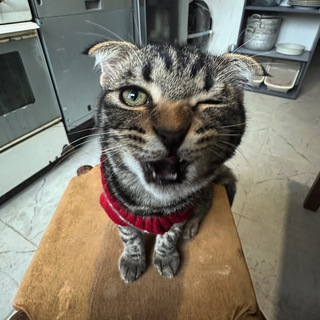 Telegram profile photo for она была женой аккермана