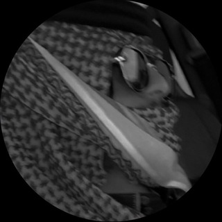 Telegram profile photo for ﺎلياممّي ٩.