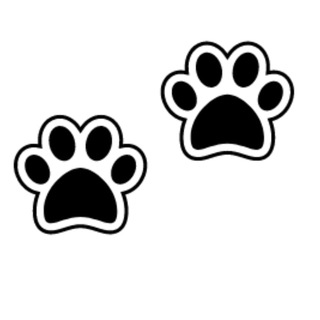 Telegram group profile photo for Two Paws