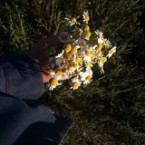 Telegram profile photo for —Turn Off Your Emotions—