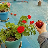Telegram profile photo for کافه عاشقانه(باران)
