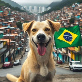 Telegram profile photo for Bostilizando ©