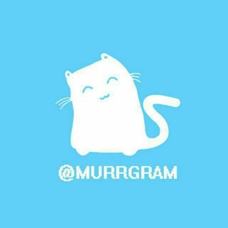 Telegram profile photo for Murrgram