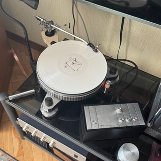 Telegram profile photo for like spinning plates 💿