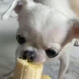 Telegram profile photo for 𝙈𝙞𝙣𝙙 𝙥𝙖𝙡𝙖𝙘𝙚