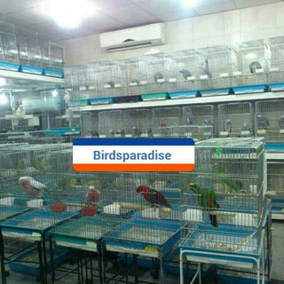 Telegram profile photo for Birds Paradise