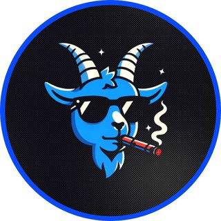 Telegram profile photo for Flapjack's Mentorship