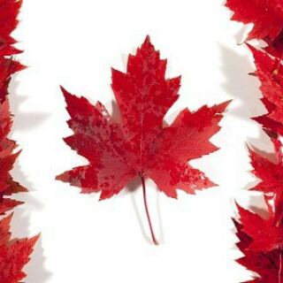 Telegram profile photo for Today English