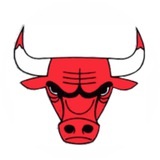 Telegram profile photo for Crypto Bull