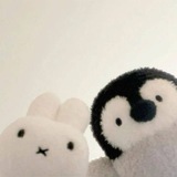 Telegram profile photo for ┆miffy's adm mart ・ ༝ ・