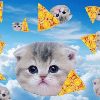 Telegram profile photo for Pizza Cat ~ $SLICE