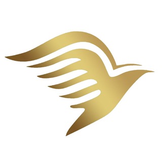 Telegram profile photo for 菜鸟VPN 永久免费 中文频道