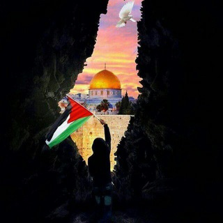 Telegram profile photo for فلسطينيّة مقدسيّة الهوى ♡