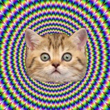 Telegram profile photo for Чичи Гага