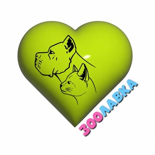 Telegram profile photo for Zoolafka