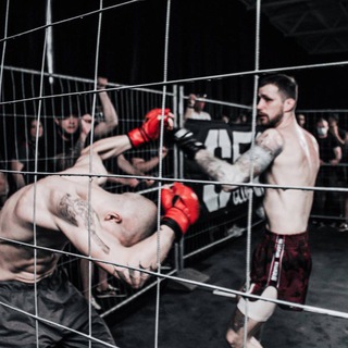Telegram profile photo for Брюс лайф Temper в кайф!