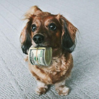 Telegram profile photo for Admits Stock