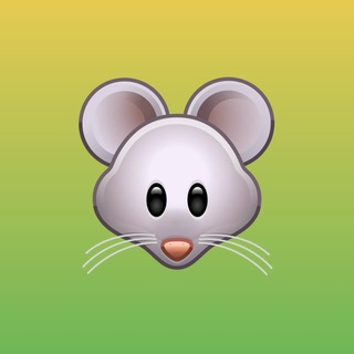 Telegram profile photo for Zinkovets Tech