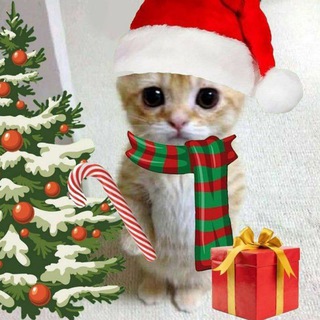 Telegram profile photo for 🫨Берлога гениев🎅