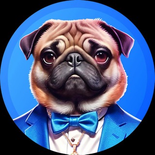 Telegram group profile photo for Rich Pug 🐾