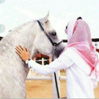 Telegram profile photo for احساس شاعر