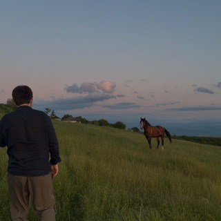 Telegram profile photo for Tasmim traveler